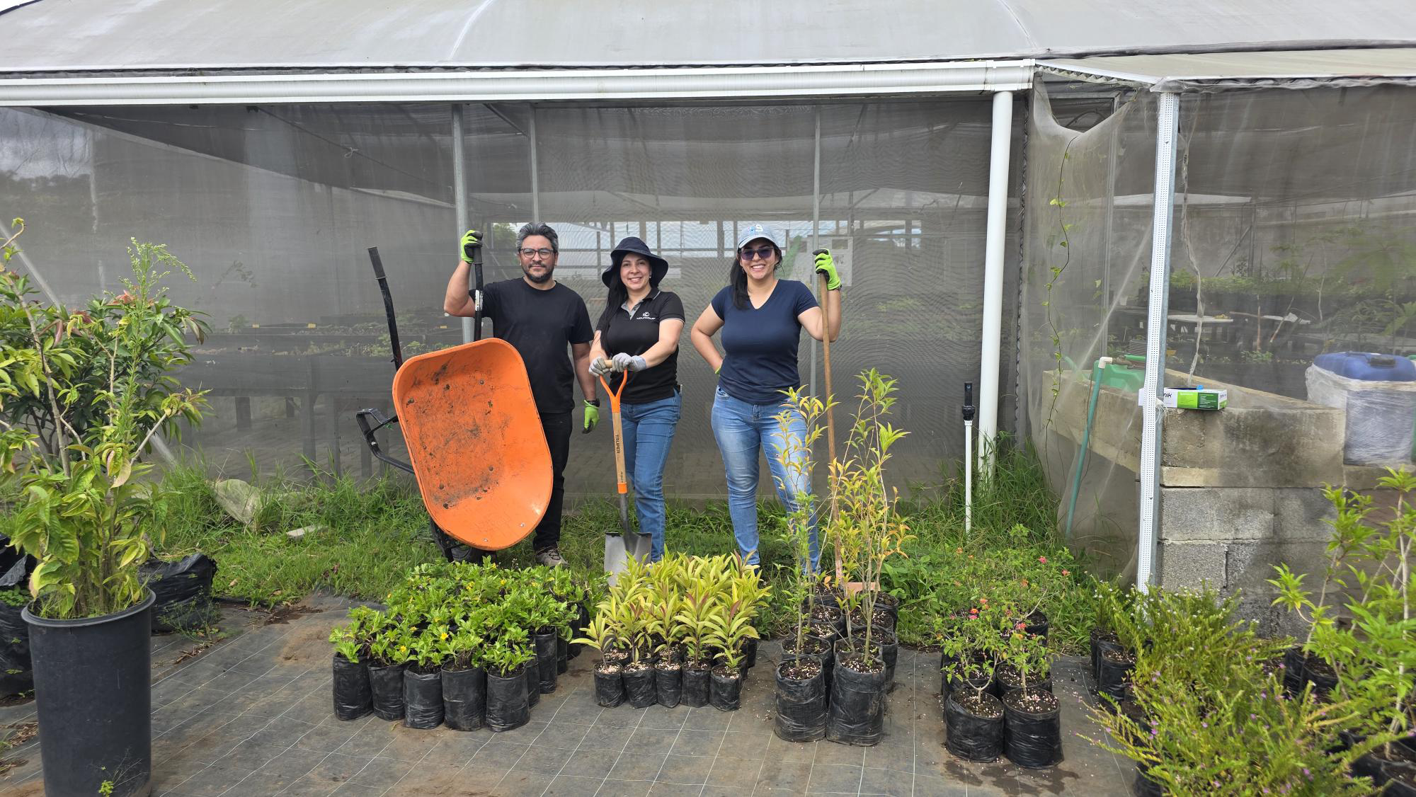 Equipos de Novacomp en Jornada de Voluntariado Ambiental en Curridabat